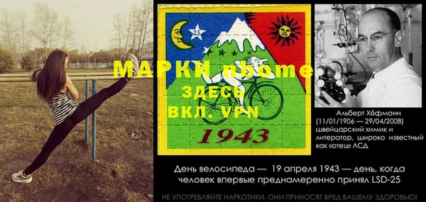 тгк Новозыбков