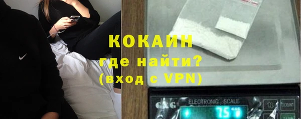 индика Нефтекумск