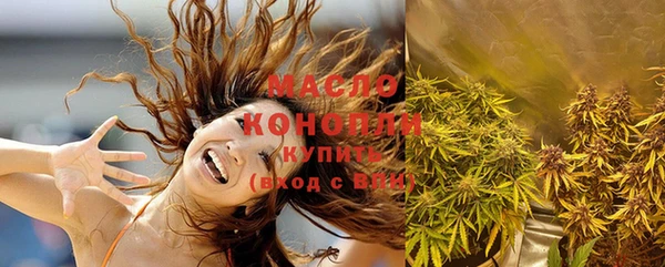 индика Нефтекумск