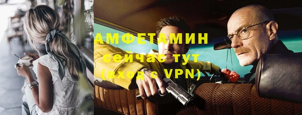индика Нефтекумск