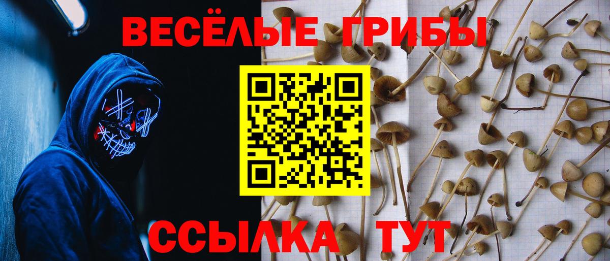 Галлюциногенные грибы Cubensis  Вход с VPN  Рассказово  Псилоцибиновые грибы Magic Shrooms 