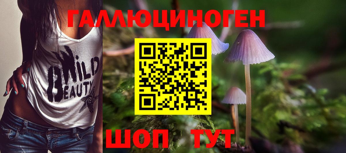 Галлюциногенные грибы Cubensis Рассказово